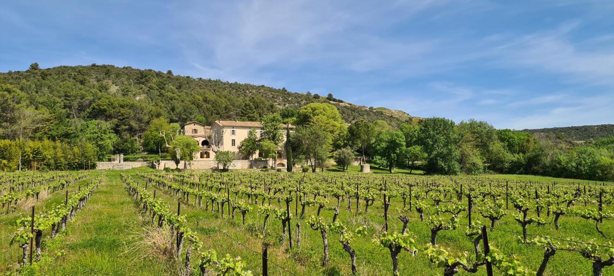 La Bastide De Peyremale, Gites En Cevennes, Piscine, Tennis Bagard Luaran gambar